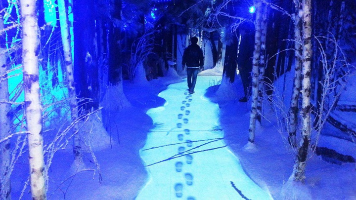 互動(dòng)投影技術(shù) 互動(dòng)投影技術(shù)